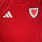Wales 2024/2025 Home Shirt Medium