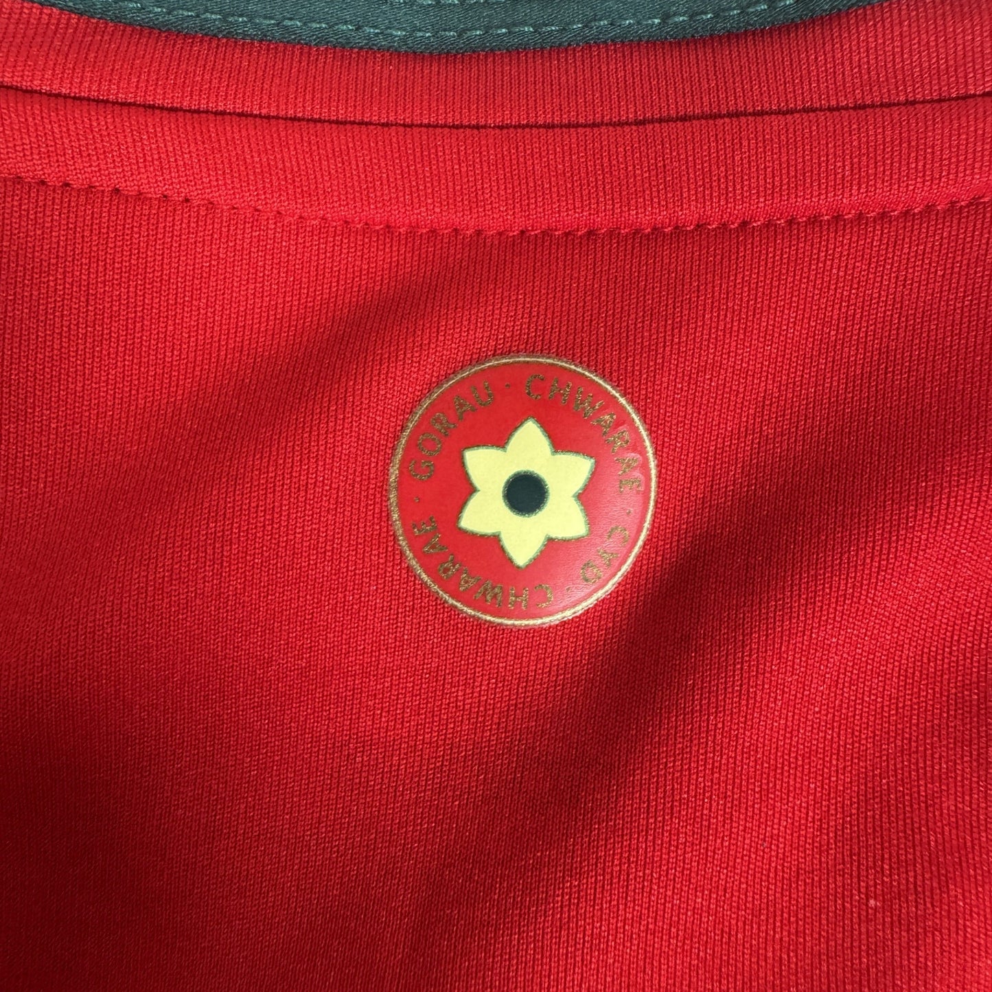 Wales 2024/2025 Home Shirt Medium