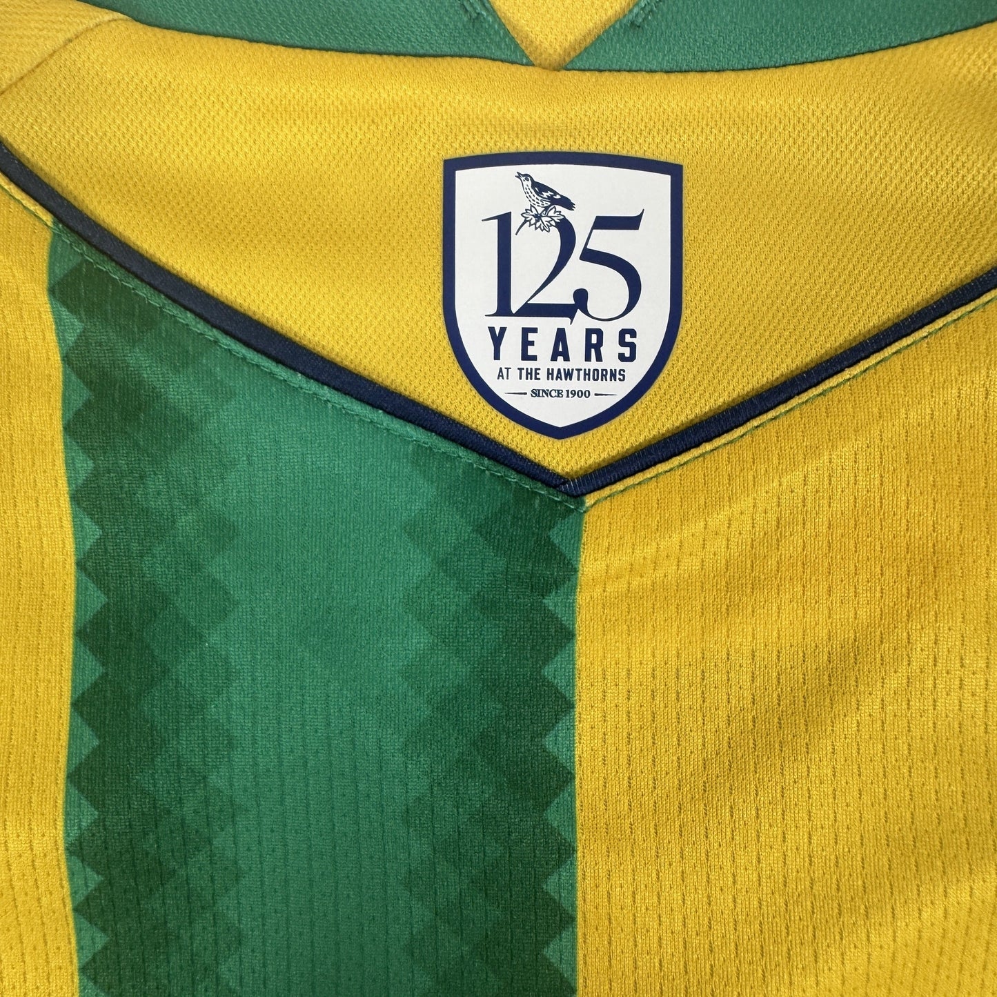 West Bromwich Albion 2025/2026 Away Football Shirt Large BNWT