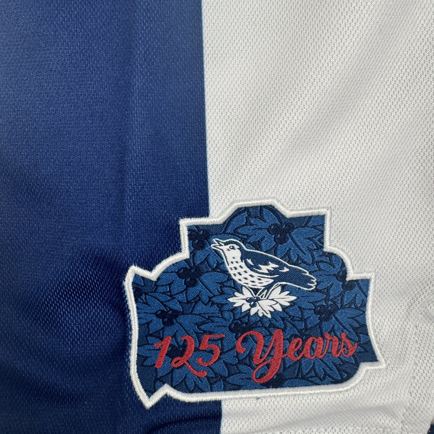 West Bromwich Albion 2025/2026 Home Football Shirt Large BNWT
