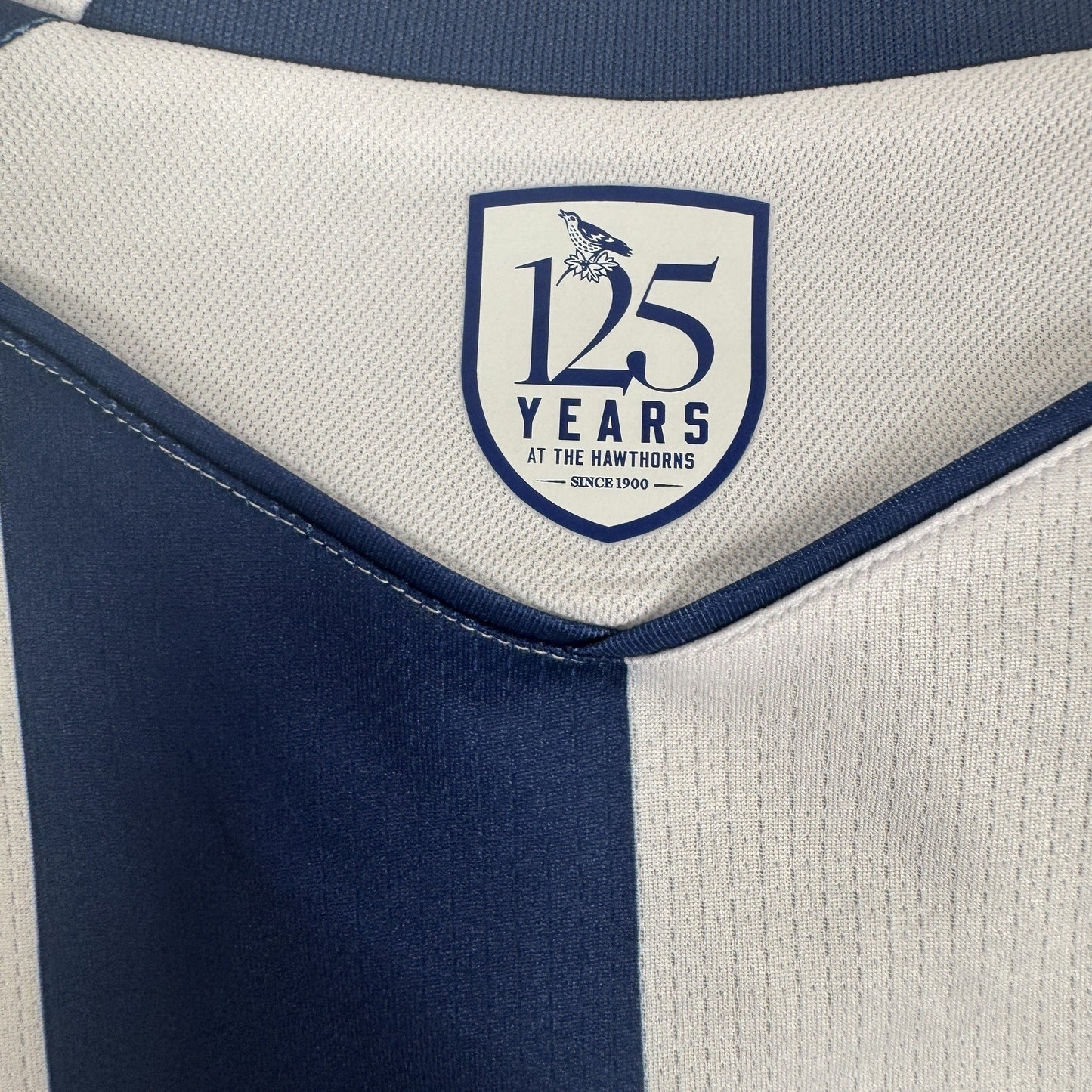 West Bromwich Albion 2025/2026 Home Football Shirt Large BNWT