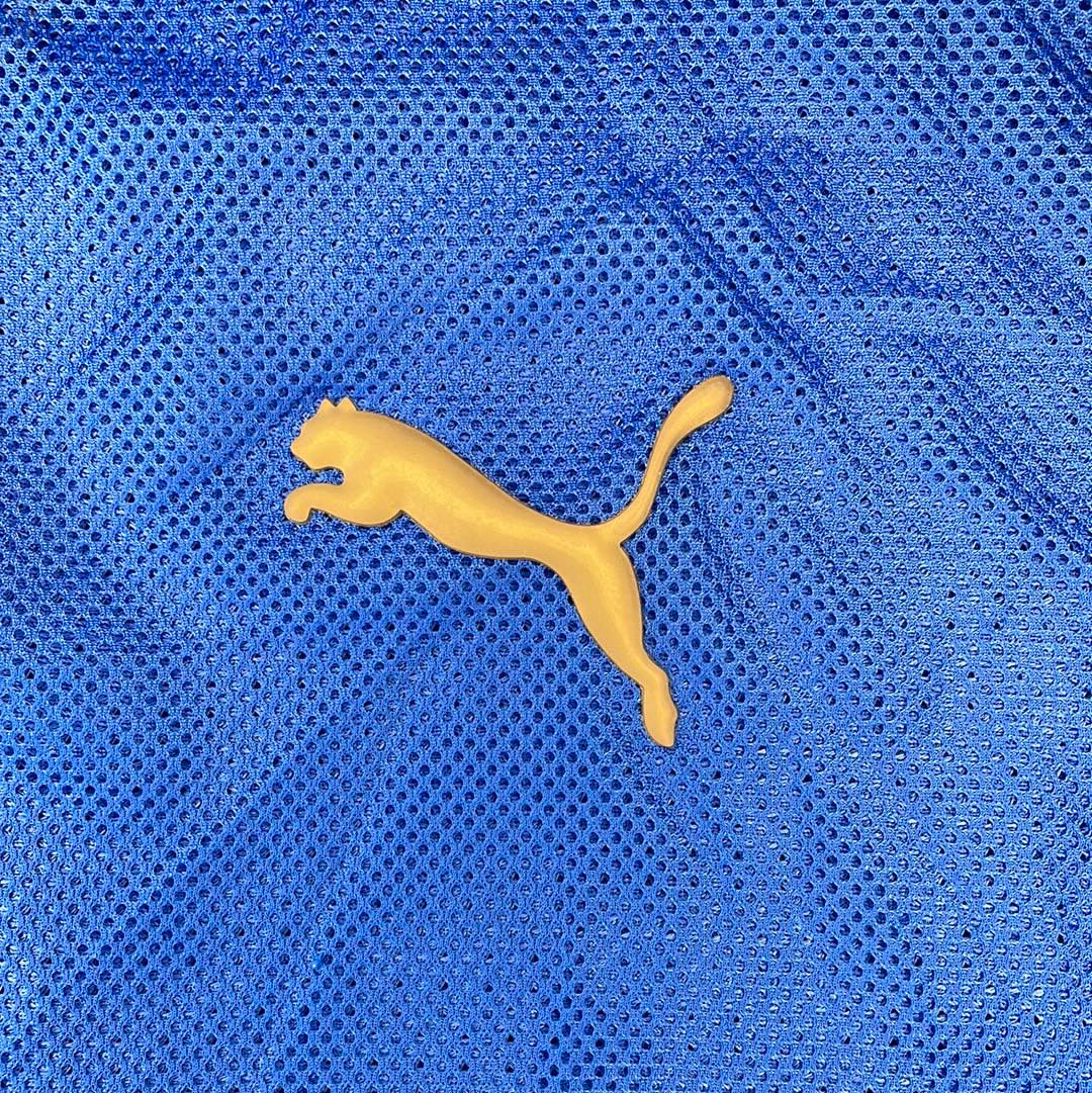 Gold puma logo Italy 2008